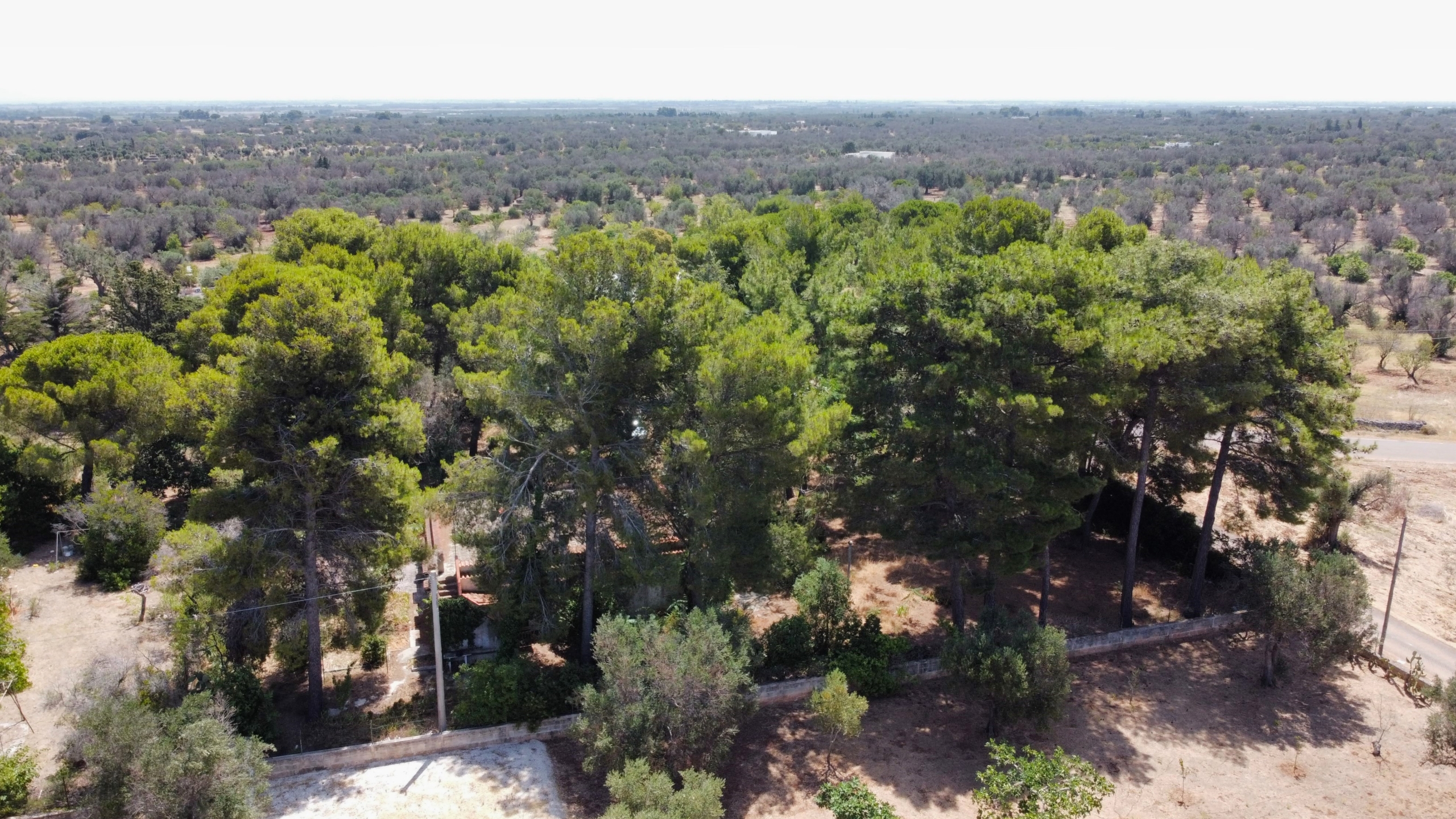 FOTO PANORAMICA
